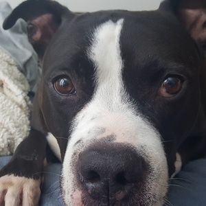 Meet your Posher, Monica